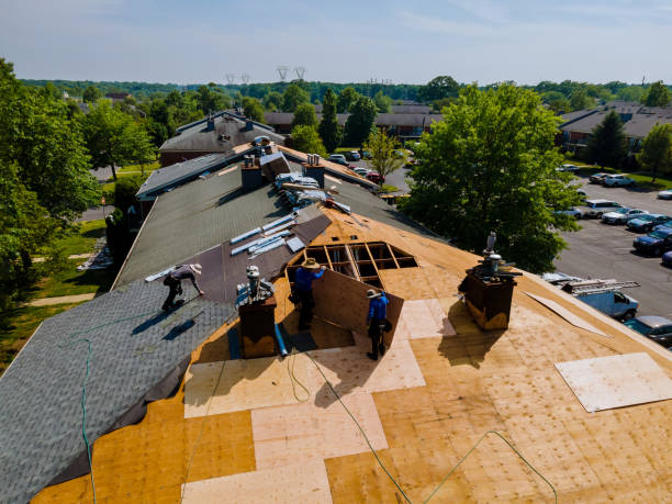 Best Roof Gutter Cleaning  in Olton, TX