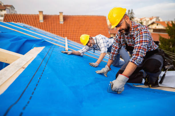 Best Gutter Installation and Roofing  in Olton, TX